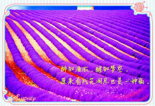 林招娣程冬是什么小说 林招娣程冬全本免费阅读