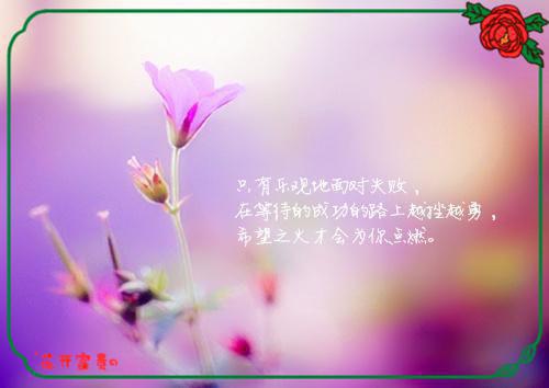 沈倩沈宇全文免费阅读最新 沈倩沈宇
