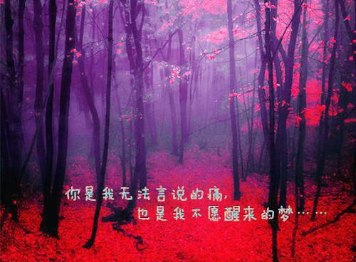 [完结]阮雾梨闻砚辞阮见微：高分佳作全章节阅读
