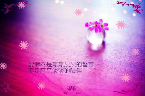 林婉儿霍阳泽全文最新章节正版小说免费阅读