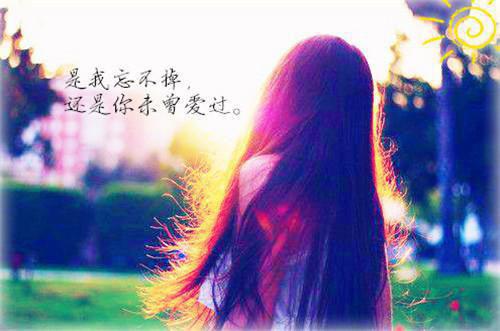 程韫宁季鹤轩是啥小说 程韫宁季鹤轩免费阅读无广告