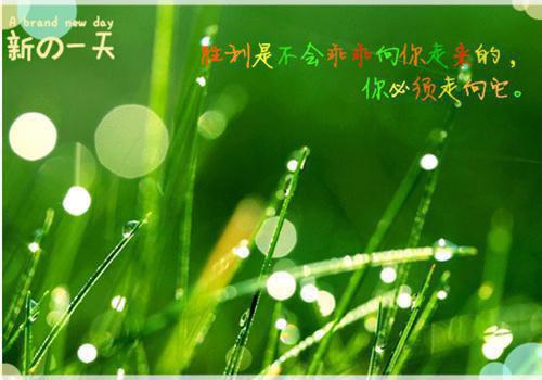 盛简宁程敬闻小说免费 盛简宁程敬闻第2章在线阅读