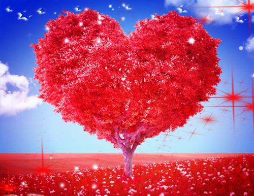 林雾眠江舟全文最新章节正版小说免费阅读