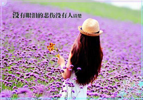 大唐：从练武到修仙秦辰秦勇小说在线免费阅读(大结局)