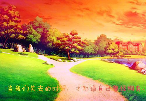 林悦张涛免费大结局 空爱完结小说