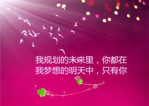 赵辰欢徐晴依小说目录 赵辰欢徐晴依完整免费版阅读