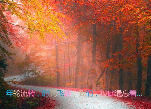不负如来不负卿宋景川苏苒沈千鹤by梨子酱