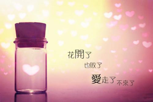 顾温言沈佳芮（给你的第三封信是遗言：+结局+番外）全文免费阅读无弹窗大结局_(顾温言沈佳芮)最新章节列表_笔趣阁（给你的第三封信是遗言：+结局+番外）
