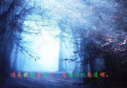 沈清梨顾辞小说章节免费阅读 沈清梨顾辞无弹窗