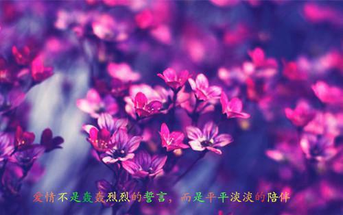 直播绑架首富爱犬后，男友却慌了神最新更新 江臣免费读