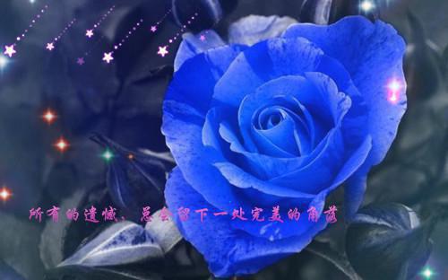 退婚后，婆婆后悔了：结局+完整版沈青禾周文渊江砚舟小说在线免费阅读(大结局)