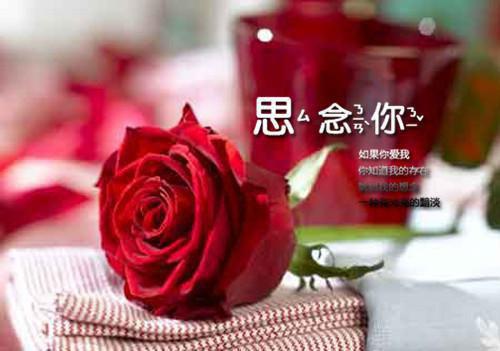 陆九漓侯妙姝免费阅读目录 陆九漓侯妙姝小说全文