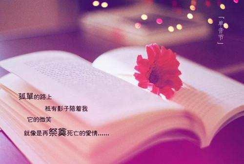 完结文不见明月不见君：最新章节列表_完结文不见明月不见君：全文免费阅读（谭湘傅廷渊）