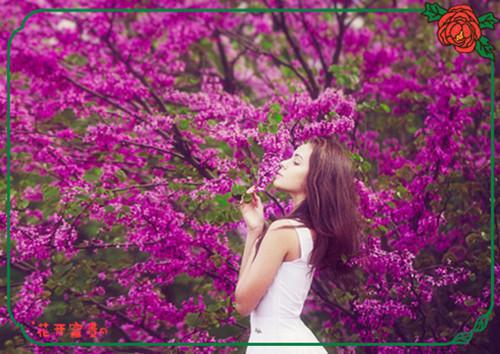 (最新)乔清露宋云舟小说完整版免费阅读