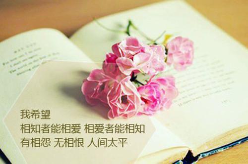 莫晓萧愫愫是什么小说 谢幕时分，爱已成殇上上语