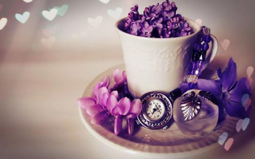 大力村姑福运旺，拐个探花去生崽最新章节 福娘谢清樾在线阅读