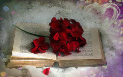 我的白月光也住进门,双标丈夫却急了全文目录 周明玉陈斯迎小说免费阅读无广告