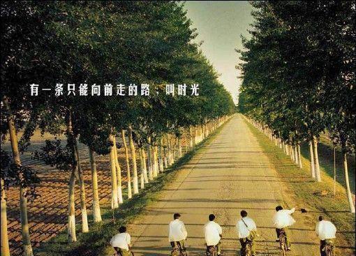 老婆陪竹马环游世界，看到儿子尸体后疯了免费无弹窗 季薇薇许知宴小说阅读