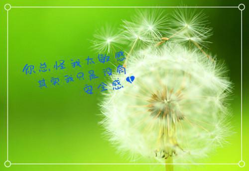 桑苒白顾子理小说完结篇(桑苒白顾子理)章节前文+全篇阅读（桑苒白顾子理）最近更新