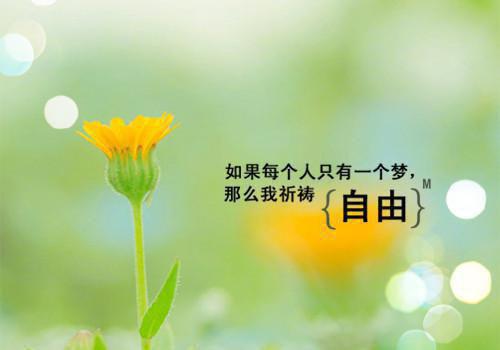 李代沫阮慧娴的小说 李代沫阮慧娴全文免费阅读