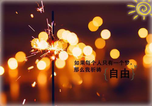 夏知禾林砚棠小说最后结局 夏知禾林砚棠完结版免费阅读