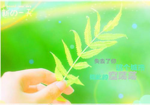 祁同伟钟小艾小说阅读 祁同伟钟小艾全文免费无广告
