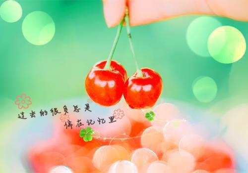 谢莹许伶仃免费全本小说 谢莹许伶仃章节目录