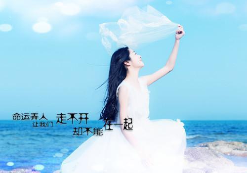 严谨行林诗韵沈执与小说目录 严谨行林诗韵沈执与完整免费版阅读