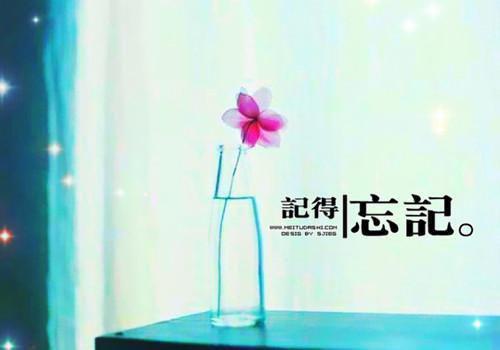 池若夏朱彦楚小说目录 池若夏朱彦楚完整免费版阅读