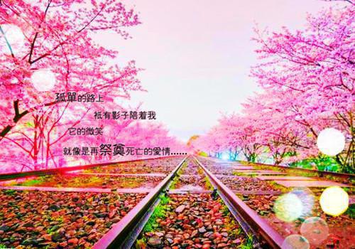 (完整版)陈煜秦酥酥小说免费阅读无广告