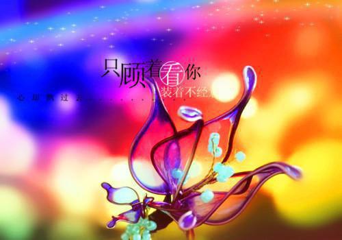 完结文老公死后，他的遗书火了最新章节列表_完结文老公死后，他的遗书火了全文免费阅读（柳丝安姐）