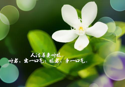 全本高武：校花修炼我变强（张平）最新章节列表_全本高武：校花修炼我变强全文阅读