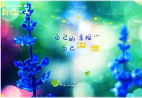 许知予贺知裴林若星章节目录 未予你温柔小说免费阅读无弹窗