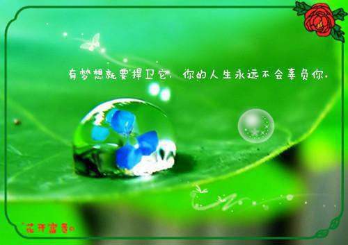 黎染顾承煊章节目录 乱世伽黎小说免费阅读无弹窗