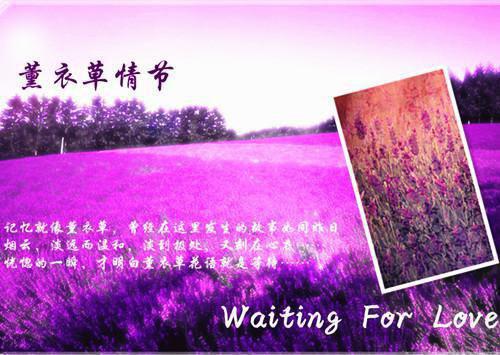 姜舒意的小说寒来暑往将你遗忘宝藏姜舒意顾知凛全文在线阅读