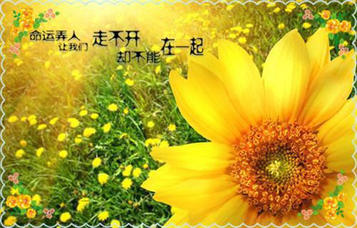 日暮青山绿渐隐榜单最新小说（许星森纪冰雪许书阳）全文阅读