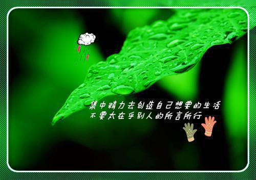 落魄后,我被装穷的前夫娇宠了(贺知州唐安然+)全文浏览_落魄后,我被装穷的前夫娇宠了全文浏览