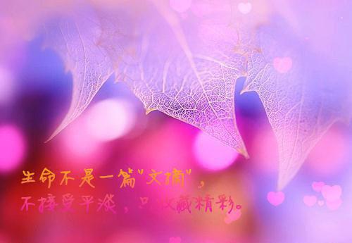 主角顾召野苏婉婉小说 顾召野苏婉婉小说全文免费阅读