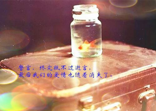 沈黎沈煜最后结局 沈黎沈煜完结版免费阅读
