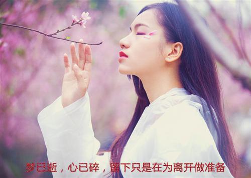 长离不见清瑟版最新章节列表_长离不见清瑟版全文免费阅读(江清瑟谢长离)