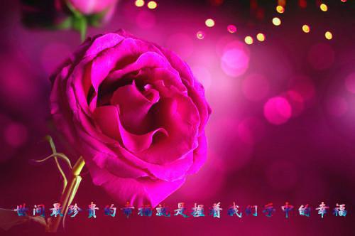 豪门老公失忆后，错把自己当小三（温以乔季晏礼）全文免费读无弹窗大结局_（温以乔季晏礼免费小说）豪门老公失忆后，错把自己当小三无弹窗结局+番外看点十足