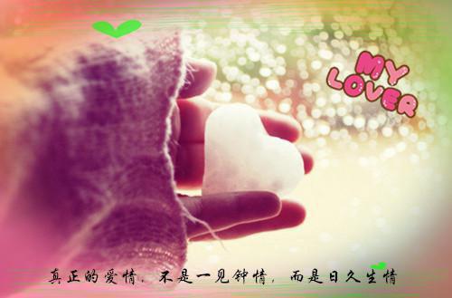猫咪身体里，住着我闺蜜的灵魂李薇蒋轩全文免费阅读(已完结)