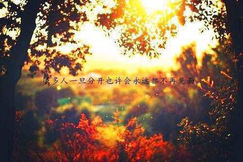 叶轩叶心月的小说 叶轩叶心月全文免费阅读