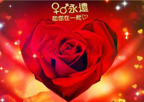 谁与你白头成眷：番外+完结,沈意欢陆沉舟沈意欢陆沉舟免费章节试读