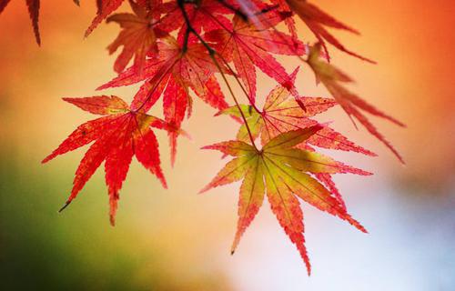 梁靳言祝南玥小说名字免费 烟火燃赞歌章节阅读