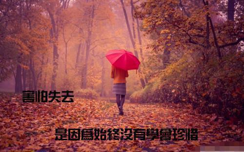 (番外)+(全文)回首是潇潇暮雨：全文+后续+结局（林婉兮霍亦铭）全文免费阅读无弹窗大结局_回首是潇潇暮雨：全文+后续+结局最新章节列表_笔趣阁（回首是潇潇暮雨：全文+后续+结局）