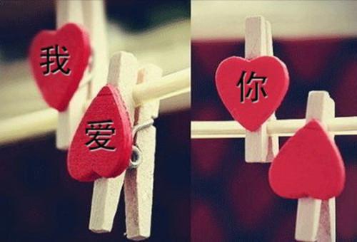 南语沈聿珩小说最后结局 南语沈聿珩完结版免费阅读