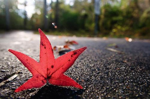 陆谦陈清越祁洌最新章节免费 陆谦陈清越祁洌第4章在线阅读