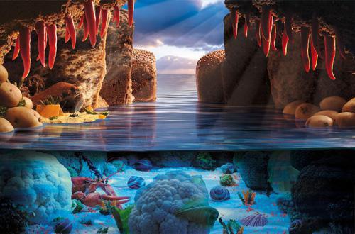 裴亦辰许星瓷小说名 网恋失败后他成了全网初恋男神侠名在线阅读