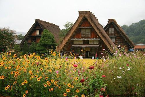 长生仙族，开局截胡女魔头免费阅读方并顾云汐小说第3章